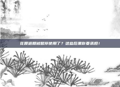 花呗逾期被暂停使用了？这些后果你要承担！