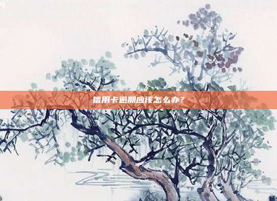 信用卡逾期应该怎么办？