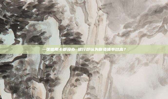 一张信用卡都没办 银行却认为你负债率过高?