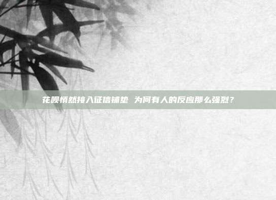 花呗悄然接入征信铺垫 为何有人的反应那么强烈?