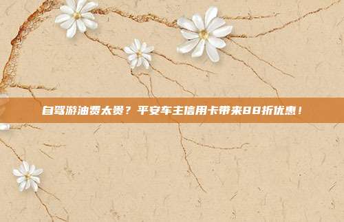 自驾游油费太贵?平安车主信用卡带来88折优惠!