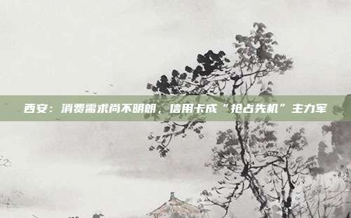 西安:消费需求尚不明朗,信用卡成“抢占先机”主力军