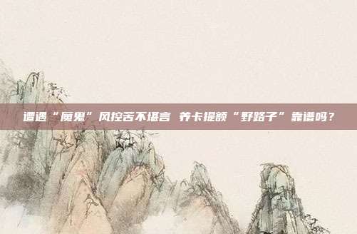 遭遇“魔鬼”风控苦不堪言 养卡提额“野路子”靠谱吗?