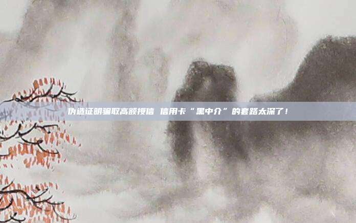 伪造证明骗取高额授信 信用卡“黑中介”的套路太深了!