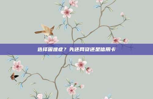 选择困难症?先还网贷还是信用卡