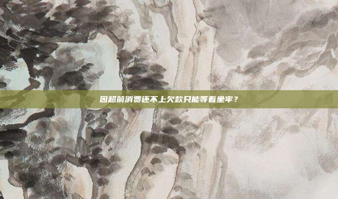 因超前消费还不上欠款只能等着坐牢?