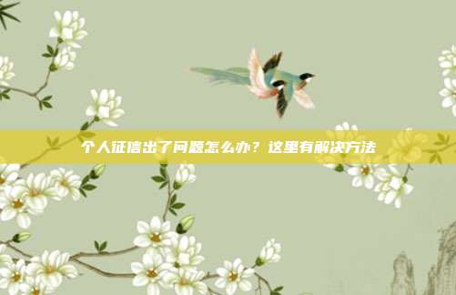 个人征信出了问题怎么办?这里有解决方法