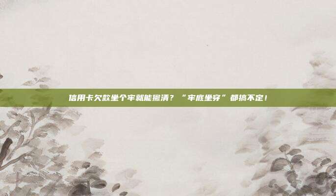 信用卡欠款坐个牢就能撇清?“牢底坐穿”都搞不定!