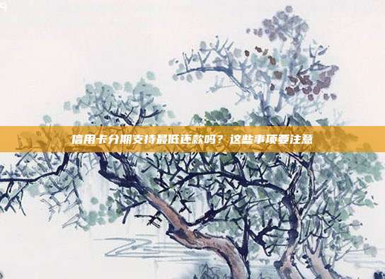 信用卡分期支持最低还款吗?这些事项要注意