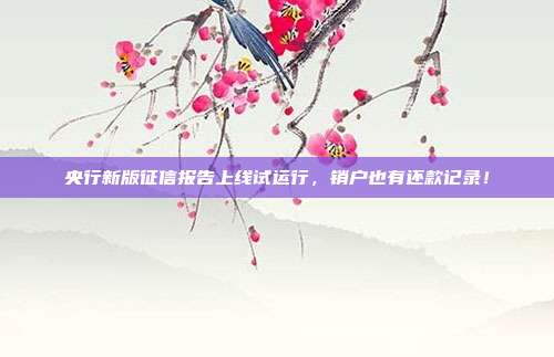 央行新版征信报告上线试运行,销户也有还款记录!