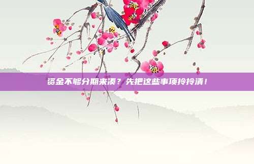 资金不够分期来凑?先把这些事项拎拎清!