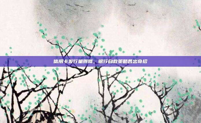 信用卡发行量骤降,银行自救策略各出奇招