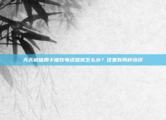 天天被信用卡催收电话骚扰怎么办?这里有两种选择
