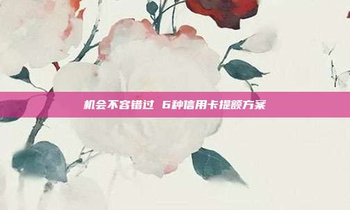 机会不容错过 6种信用卡提额方案