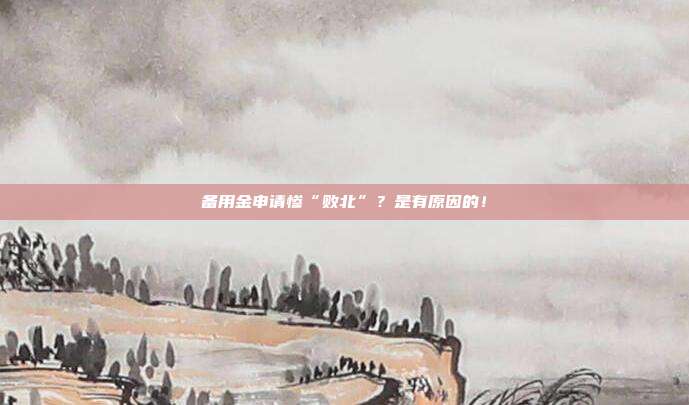 备用金申请惨“败北”？是有原因的！