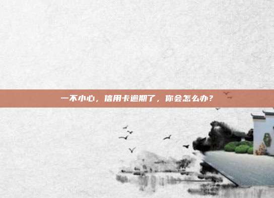 一不小心，信用卡逾期了，你会怎么办？