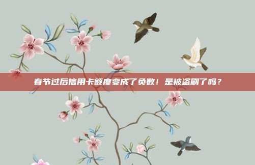 春节过后信用卡额度变成了负数!是被盗刷了吗?