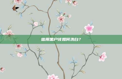 信用黑户该如何洗白?