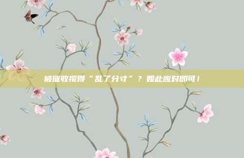 被催收搅得“乱了分寸”?如此应对即可!