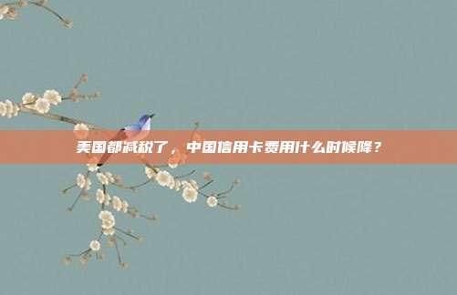美国都减税了,中国信用卡费用什么时候降?