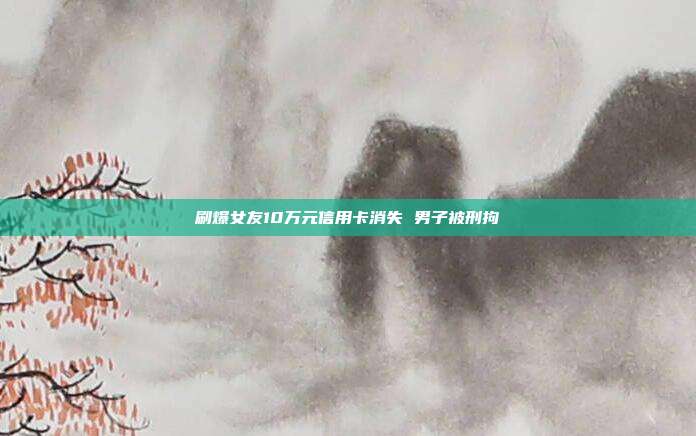 刷爆女友10万元信用卡消失 男子被刑拘