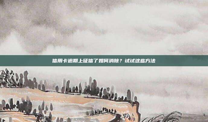 信用卡逾期上征信了如何消除?试试这些方法