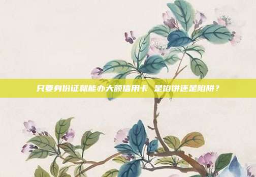 只要身份证就能办大额信用卡 是馅饼还是陷阱?