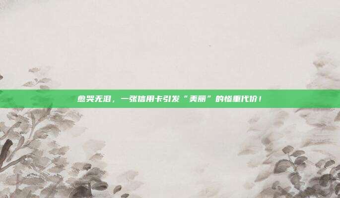 愈哭无泪,一张信用卡引发“美丽”的惨重代价!