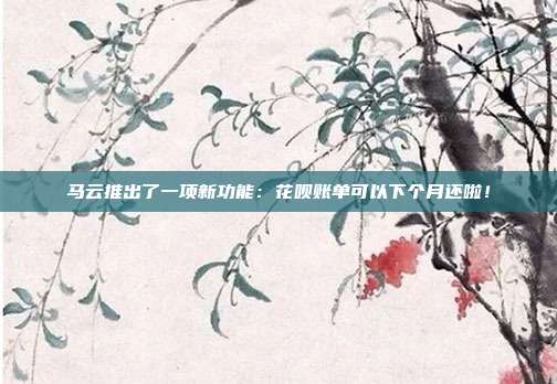 马云推出了一项新功能:花呗账单可以下个月还啦!