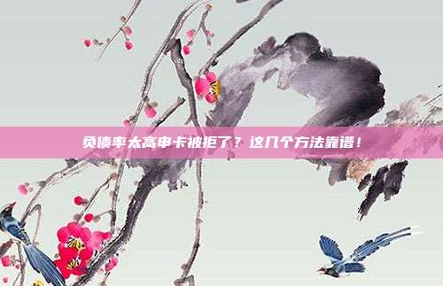 负债率太高申卡被拒了?这几个方法靠谱!