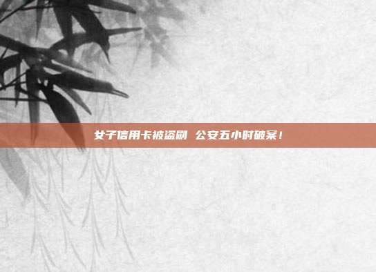 女子信用卡被盗刷 公安五小时破案!