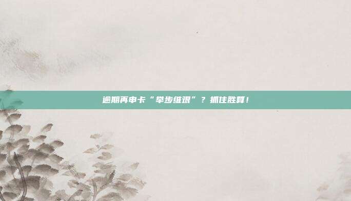 逾期再申卡“举步维艰”?抓住胜算!