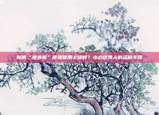 利用“境外机”便捷信用卡提额?小心这类人的盗刷手段
