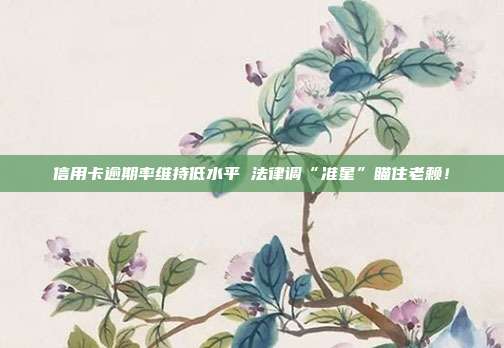 信用卡逾期率维持低水平 法律调“准星”瞄住老赖!