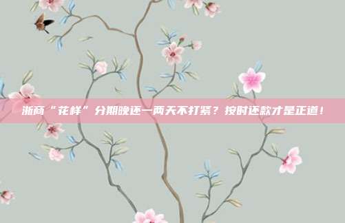 浙商“花样”分期晚还一两天不打紧?按时还款才是正道!