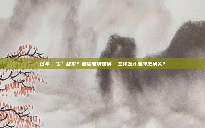 过年“飞”回家?遭遇航班延误,怎样做才能降低损失?