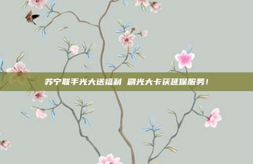 苏宁联手光大送福利 刷光大卡获延保服务！