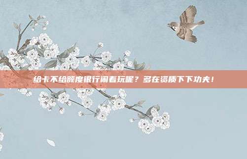 给卡不给额度银行闹着玩呢?多在资质下下功夫!
