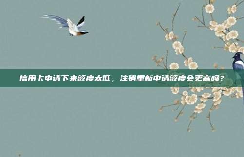 信用卡申请下来额度太低,注销重新申请额度会更高吗?