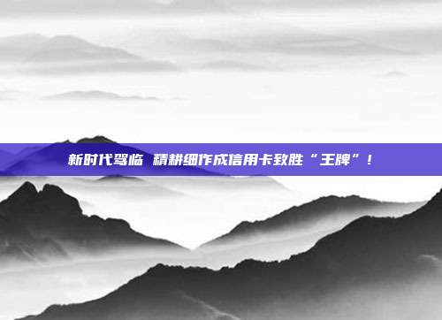 新时代驾临 精耕细作成信用卡致胜“王牌”!