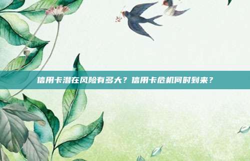 信用卡潜在风险有多大?信用卡危机何时到来?