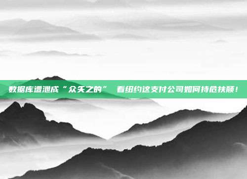 数据库遭泄成“众矢之的” 看纽约这支付公司如何持危扶颠!