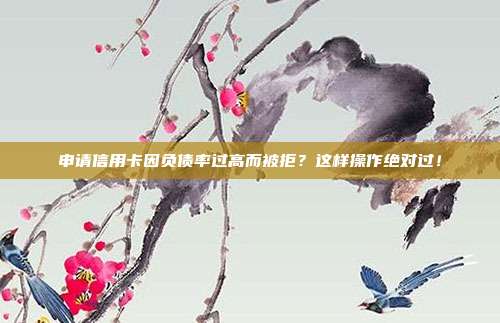 申请信用卡因负债率过高而被拒?这样操作绝对过!