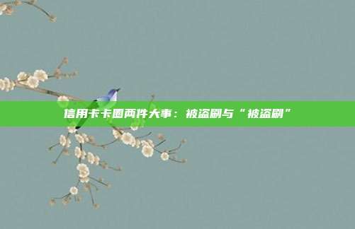 信用卡卡圈两件大事:被盗刷与“被盗刷”