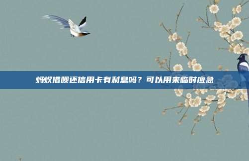 蚂蚁借呗还信用卡有利息吗?可以用来临时应急