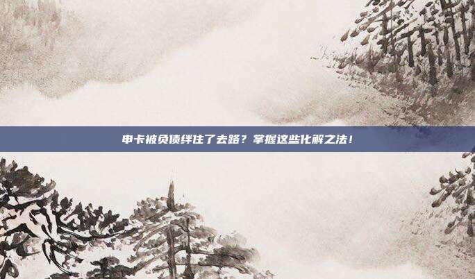 申卡被负债绊住了去路？掌握这些化解之法！