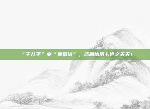 “干儿子”变“黄鼠狼”,盗刷信用卡逃之夭夭!