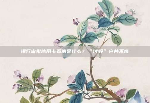 银行审批信用卡看的是什么?“讨好”它并不难