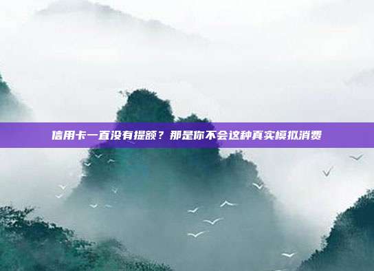 信用卡一直没有提额？那是你不会这种真实模拟消费