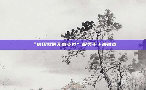 “信用就医无感支付”服务于上海试点